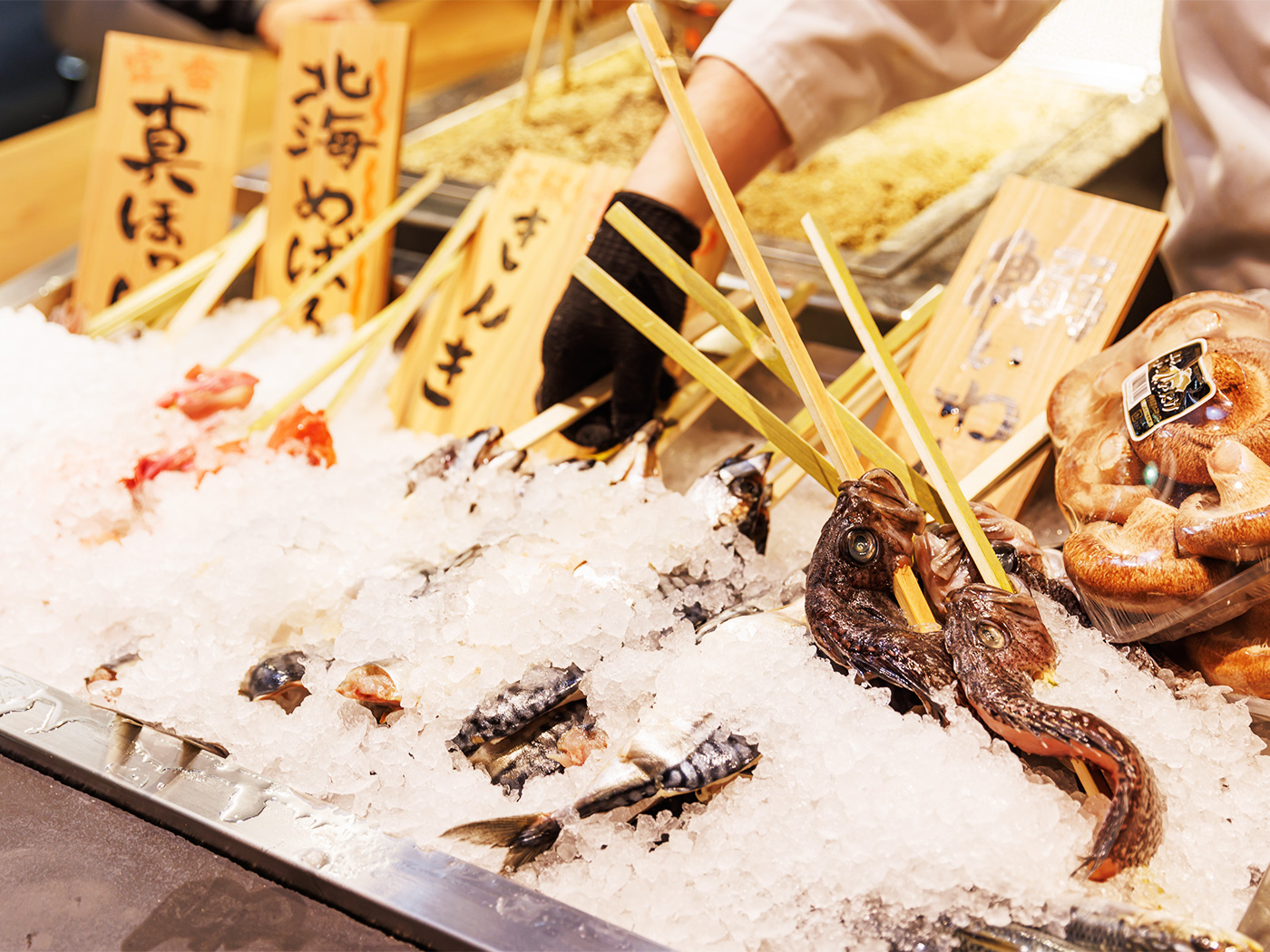 お料理の外観